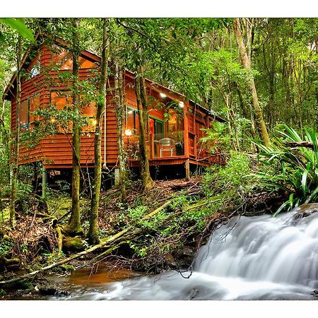 The Mouses House Rainforest Retreat Springbrook Exteriör bild