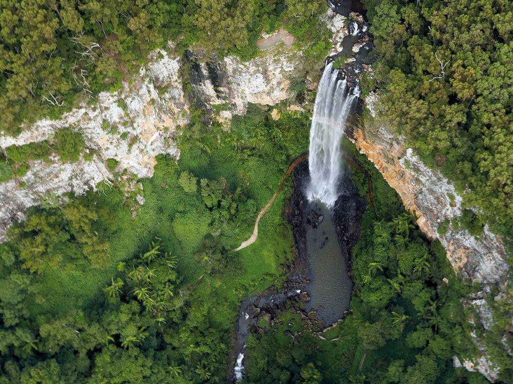 The Mouses House Rainforest Retreat Springbrook Exteriör bild