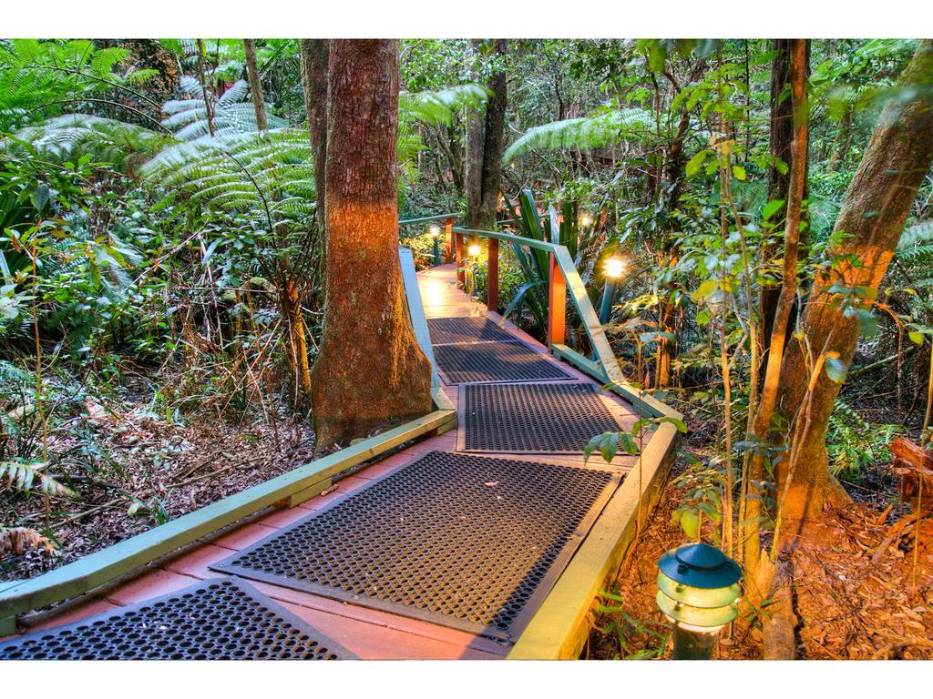 The Mouses House Rainforest Retreat Springbrook Exteriör bild