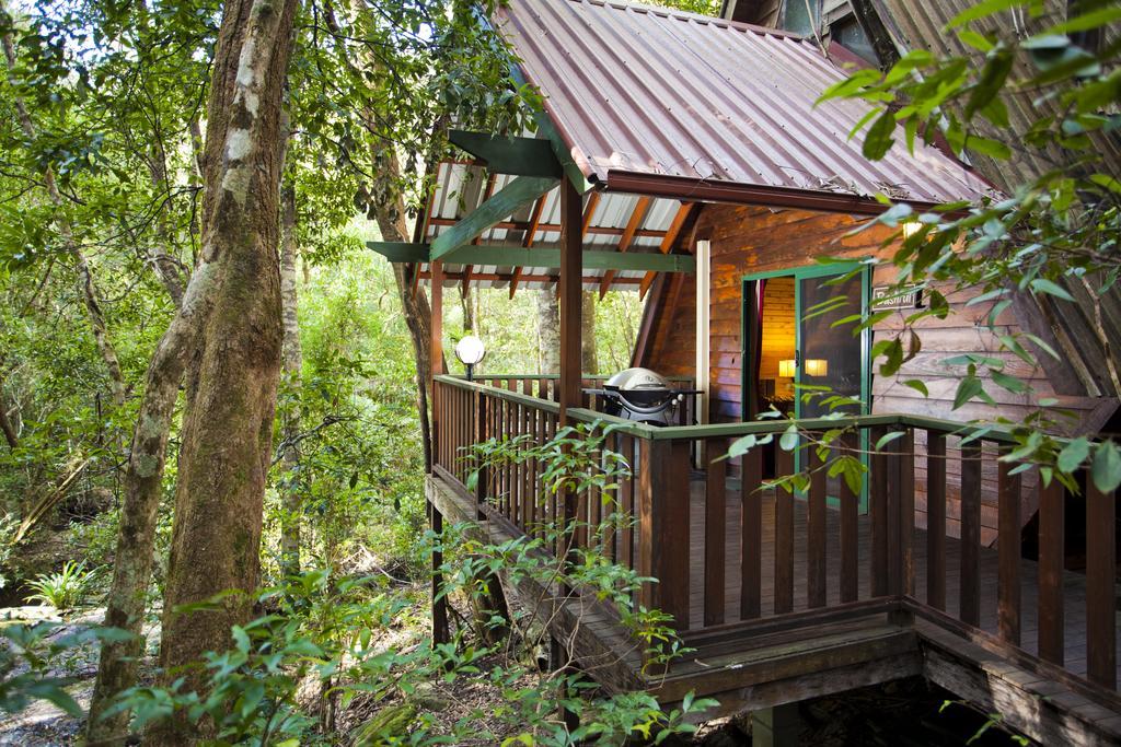 The Mouses House Rainforest Retreat Springbrook Exteriör bild