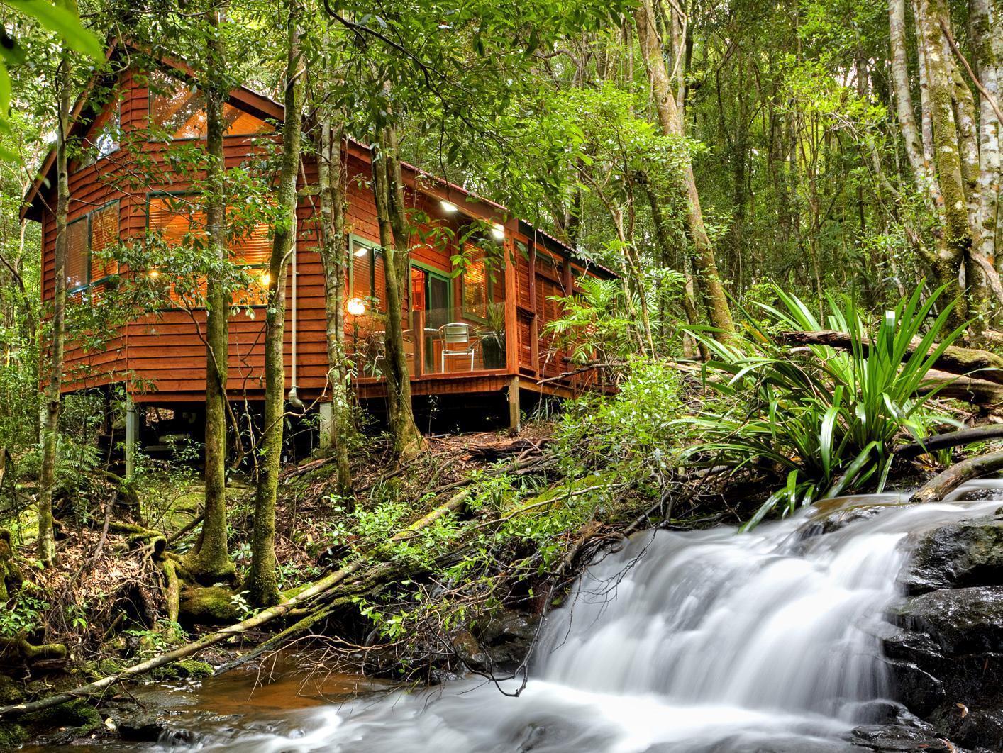 The Mouses House Rainforest Retreat Springbrook Exteriör bild
