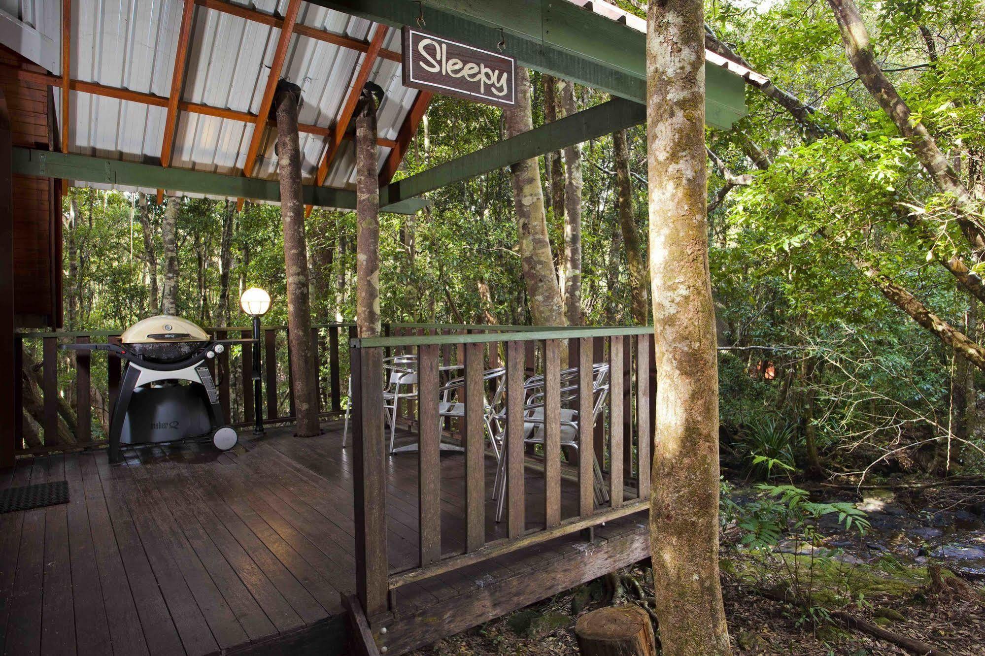 The Mouses House Rainforest Retreat Springbrook Exteriör bild