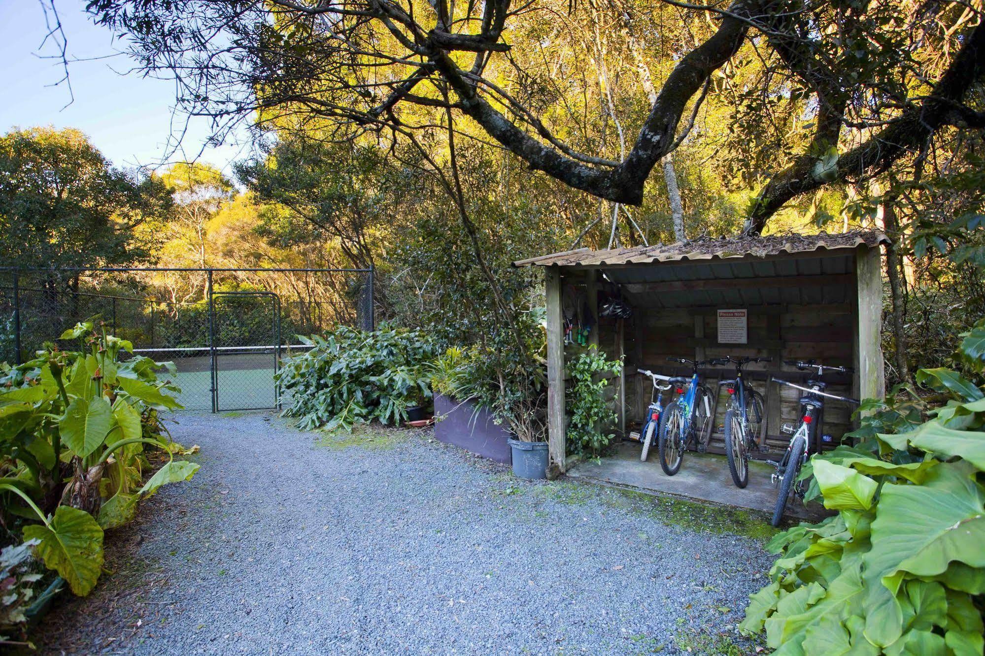 The Mouses House Rainforest Retreat Springbrook Exteriör bild