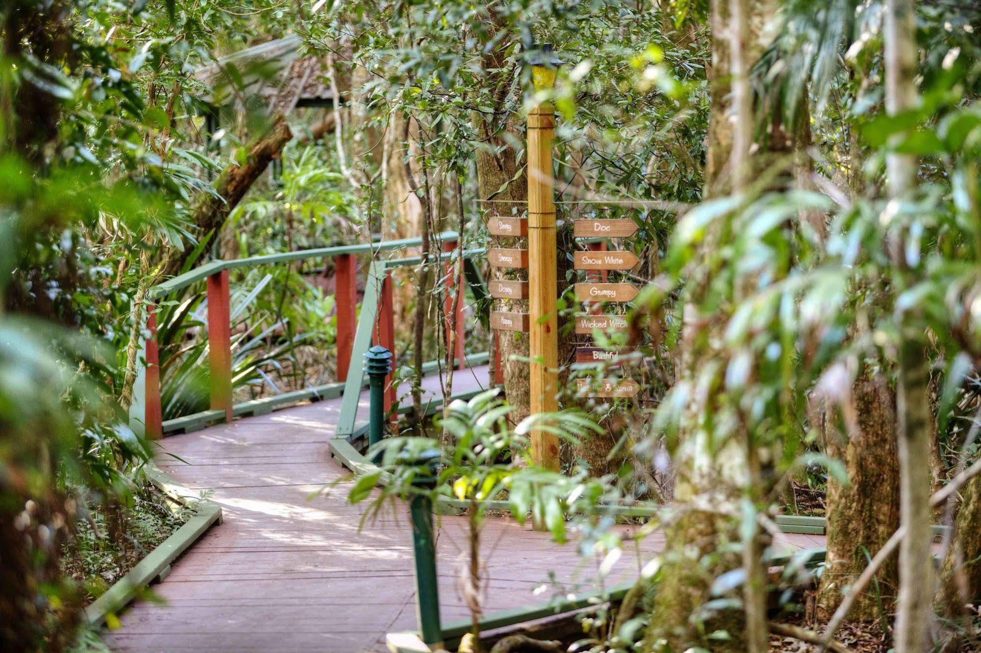 The Mouses House Rainforest Retreat Springbrook Exteriör bild