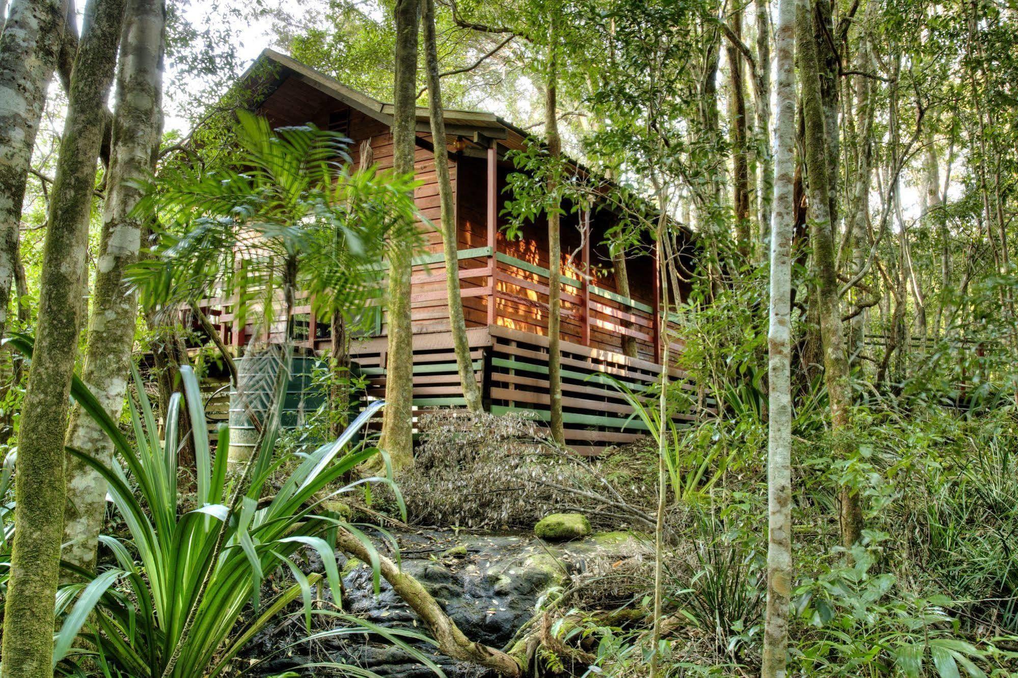 The Mouses House Rainforest Retreat Springbrook Exteriör bild