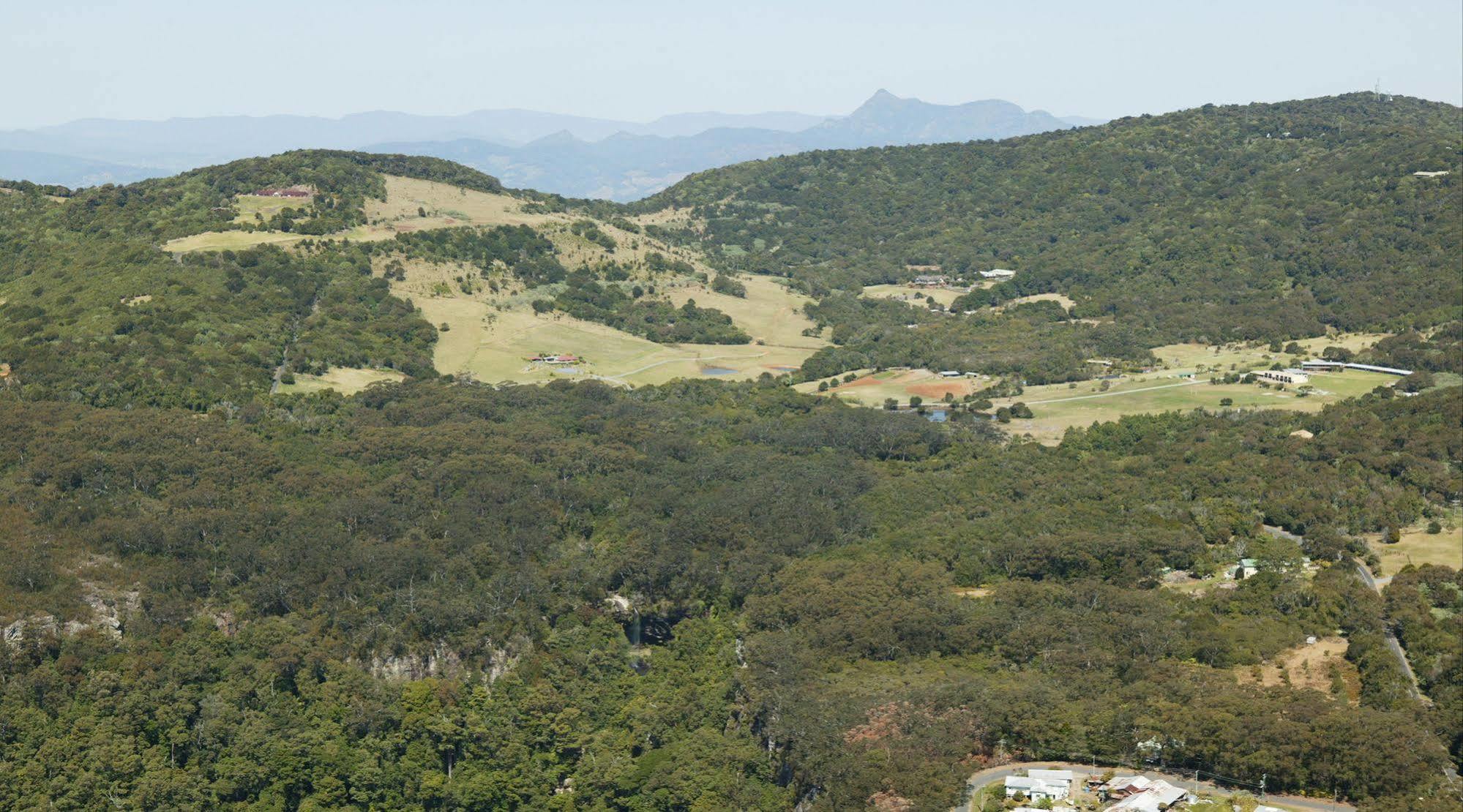 The Mouses House Rainforest Retreat Springbrook Exteriör bild