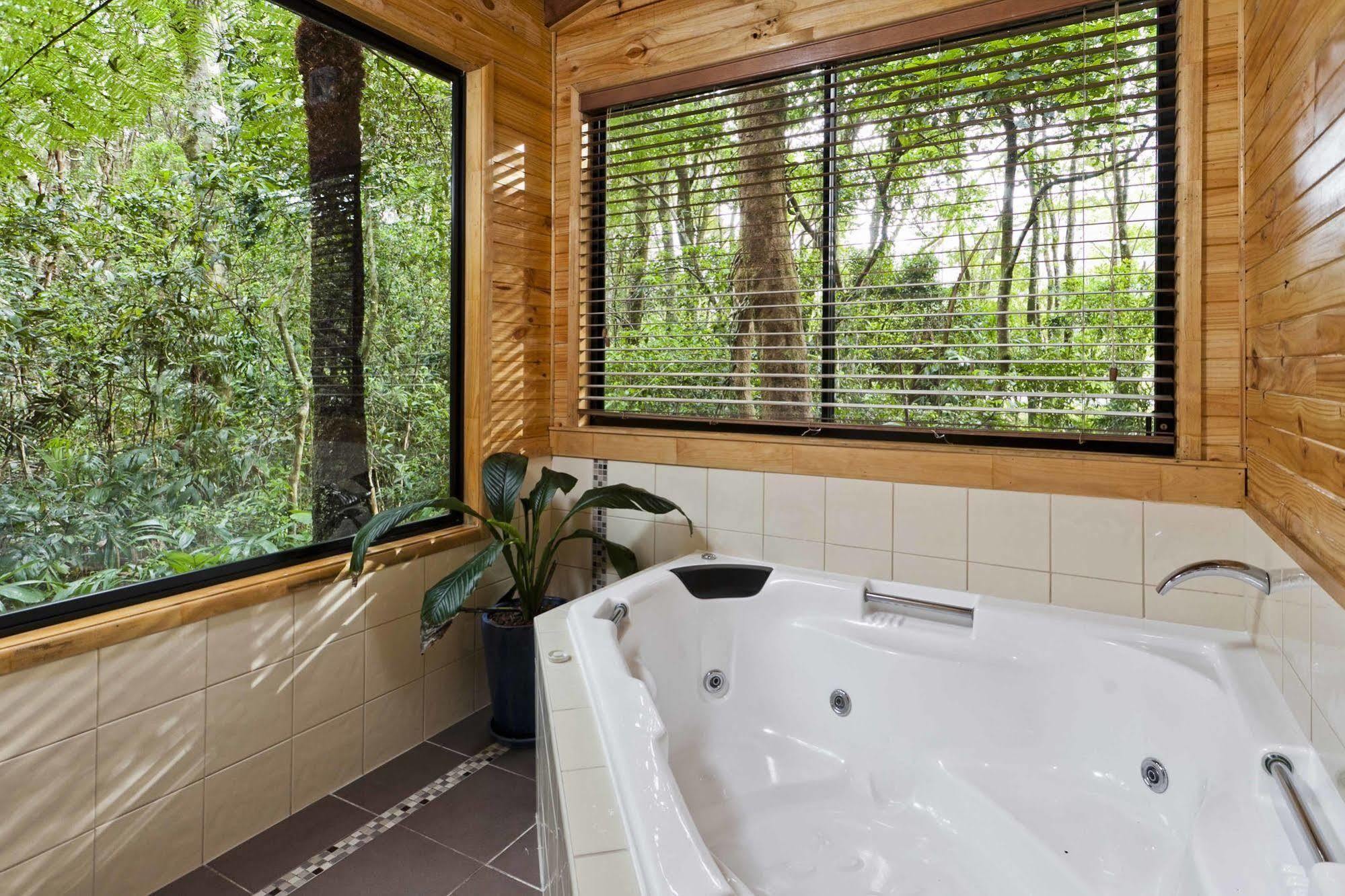 The Mouses House Rainforest Retreat Springbrook Exteriör bild